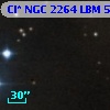 Cl* NGC 2264    LBM    5531