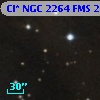 Cl* NGC 2264    FMS  2-818