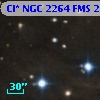 Cl* NGC 2264    FMS  2-1000