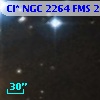 Cl* NGC 2264    FMS  2-1011