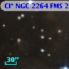 Cl* NGC 2264    FMS  2-1033