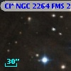 Cl* NGC 2264    FMS  2-1104