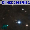 Cl* NGC 2264    FMS  2-1110