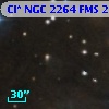 Cl* NGC 2264    FMS  2-1115