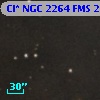 Cl* NGC 2264    FMS  2-1117