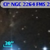 Cl* NGC 2264    FMS  2-1133