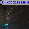 Cl* NGC 2264    LBM    5944
