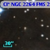 Cl* NGC 2264    FMS  2-1161