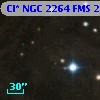 Cl* NGC 2264    FMS  2-1163