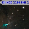 Cl* NGC 2264    FMS  2-1177