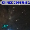 Cl* NGC 2264    FMS  2-1191