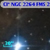 Cl* NGC 2264    FMS  2-1198