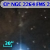 Cl* NGC 2264    FMS  2-1222