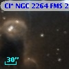 Cl* NGC 2264    FMS  2-1225