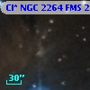 Cl* NGC 2264    FMS  2-1238