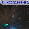 Cl* NGC 2264    FMS  2-1240