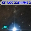 Cl* NGC 2264    FMS  2-1251