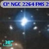Cl* NGC 2264    FMS  2-1259