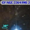 Cl* NGC 2264    FMS  2-1275