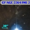 Cl* NGC 2264    FMS  2-1280