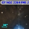 Cl* NGC 2264    FMS  2-1309
