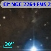 Cl* NGC 2264    FMS  2-1312