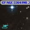 Cl* NGC 2264    FMS  2-1315