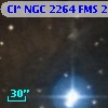 Cl* NGC 2264    FMS  2-1316
