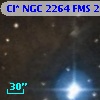 Cl* NGC 2264    FMS  2-1332