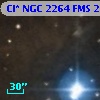 Cl* NGC 2264    FMS  2-1336