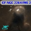 Cl* NGC 2264    FMS  2-1360