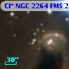 Cl* NGC 2264    FMS  2-1387