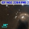 Cl* NGC 2264    FMS  2-1397