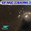 Cl* NGC 2264    FMS  2-1411