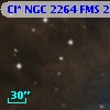 Cl* NGC 2264    FMS  2-1442