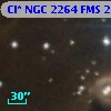 Cl* NGC 2264    FMS  2-1445