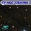 Cl* NGC 2264    FMS  2-1446