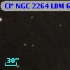 Cl* NGC 2264    LBM    6544
