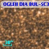 OGLEII DIA BUL-SC3   1755