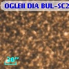 OGLEII DIA BUL-SC20   3867