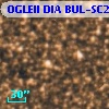 OGLEII DIA BUL-SC2   1657