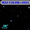 IRAS F16396+4431