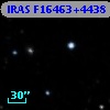 IRAS F16463+4438