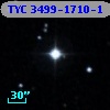 TYC 3499-1710-1