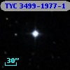 TYC 3499-1977-1