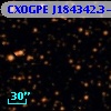 CXOGPE J184342.3-035507