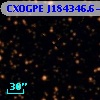 CXOGPE J184346.6-034623