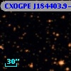 CXOGPE J184403.9-035406