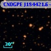 CXOGPE J184421.6-040453
