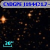 CXOGPE J184421.7-041230